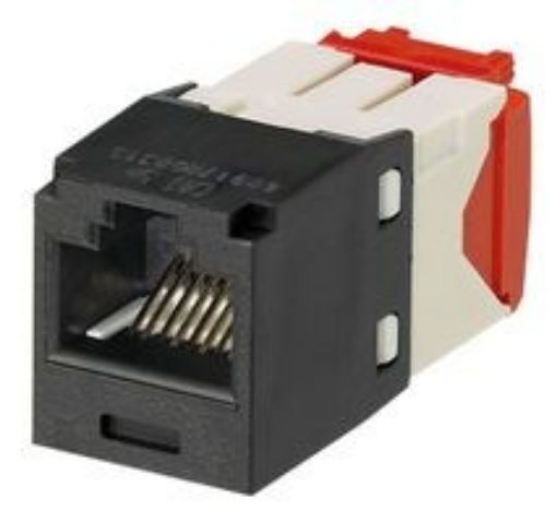 Obrázek PAND. MINI-COM modul RJ45 TX BL