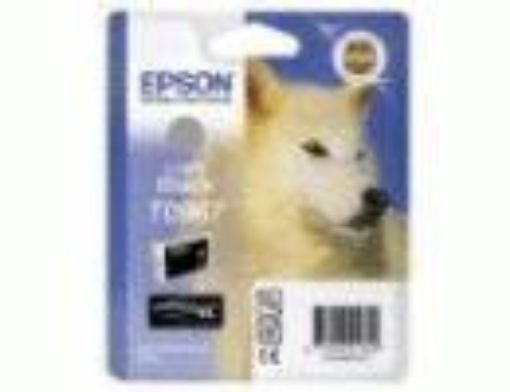 Obrázek EPSON Ink Black Light Vlk T096 Stylus Photo R2880