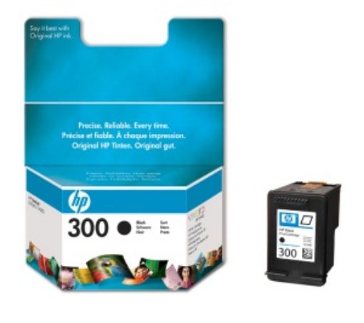 Obrázek HP Ink Cart Black No. 300  pro DJ F4280, CC640EE 