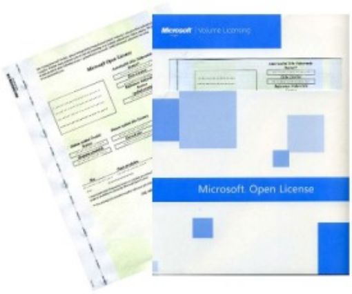 Obrázek MS Office Professional Plus Sngl Lic/SA Pack OLP NL AE