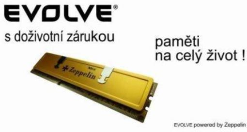 Obrázek DDR3 8GB 1333MHz CL7 EVOLVE (kit 2x4GB) Zeppelin GOLD 