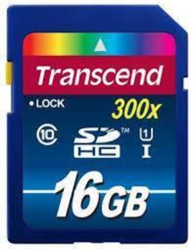 Obrázek TRANSCEND SDHC Class 10 UHS-I, 300X, 16GB (Premium)