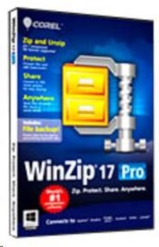 Obrázek WinZip Standard Maintenance (1 Yr) ML (1000 - 1999)
