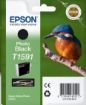 Obrázek EPSON ink čer Stylus photo "Ledňáček" R2000 - photo "Ledňáček" Black