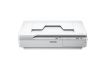 Obrázek EPSON skener WorkForce DS-5500, A4, 1200x1200dpi, USB 2.0