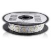 Obrázek WE LED páska 50m SMD5050 7.2W/m 10mm teplá bílá