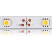 Obrázek WE LED páska 50m SMD5050 7.2W/m 10mm teplá bílá