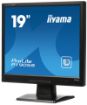 Obrázek 19" LCD iiyama P1905S-B2 - 5ms, 300cd/m2, 1000:1, 5:4, VGA, DVI, repro, TVRZENÉ SKLO (2mm)