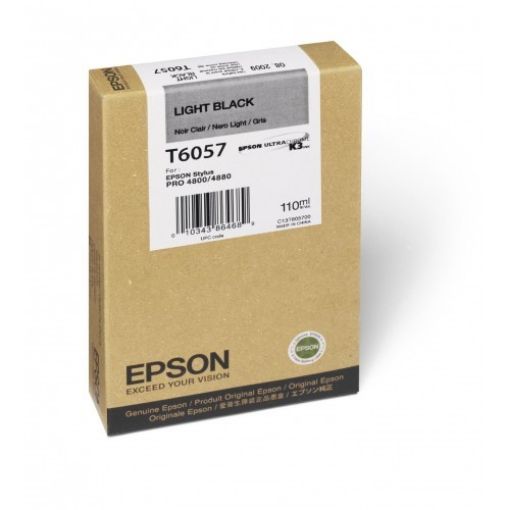 Obrázek Epson T605 110ml Light Black