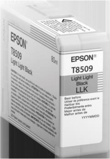 Obrázek Epson Singlepack Photo Light Light Black T850900 UltraChrome HD ink 80ml