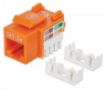 Obrázek Intellinet Cat5e Keystone Jack, UTP, Orange, Punch-down