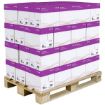 Obrázek Xerox Paleta Papír Performer (80g/500 listů, A4); 240ks