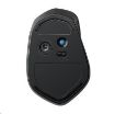 Obrázek HP myš - x4500 Black Mouse, Wireless