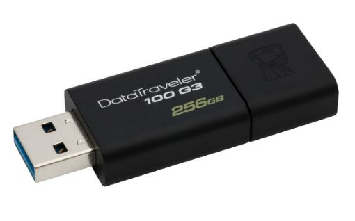 Obrázek Kingston 256GB DataTraveler DT100 Gen 3 (USB 3.0)
