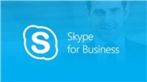 Obrázek Skype for Business 2019 OLP NL Gov