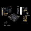 Obrázek ASUS MB Sc AM4 TUF GAMING B450M-PLUS II, AMD B450, 4xDDR4, 1xHDMI, 1xDVI, mATX