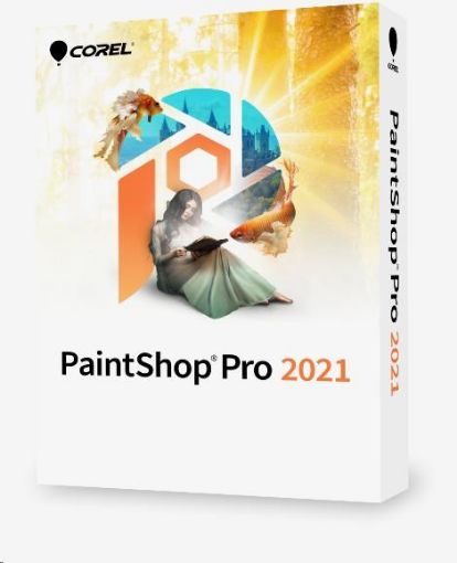 Obrázek PaintShop Pro 2021 Corporate Edition License (251-500) - Windows EN/DE/FR/NL/IT/ES