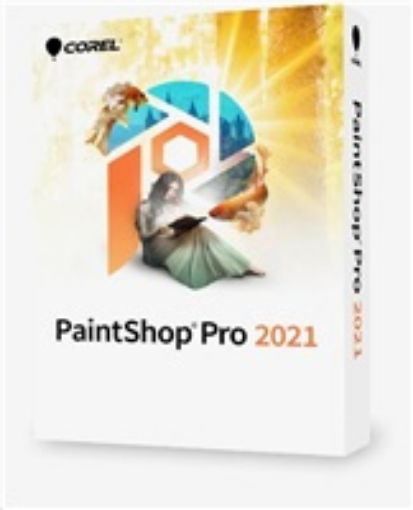 Obrázek PaintShop Pro 2021 Corporate Edition License (5-50) - Windows EN/DE/FR/NL/IT/ES