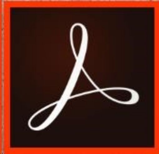 Obrázek Acrobat Std 2020 WIN SK NEW COM Lic 1+ (300)