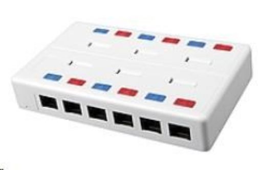 Obrázek Solarix Víceportový box CAT5E UTP 12 x RJ45 bílý SX12-5E-UTP-WH