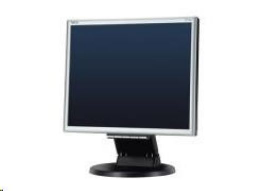 Obrázek NEC MT 17" LCD MultiSync E172M black