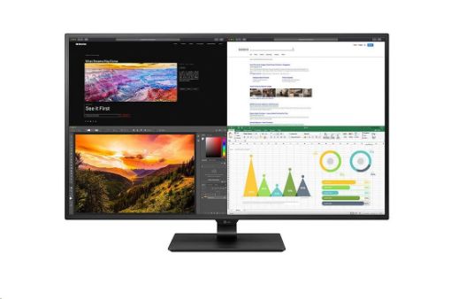 Obrázek LG MT IPS LCD LED 42,5" 43UN700 - IPS panel, 3840x2160, 4xHDMI, DP, USB-C, repro