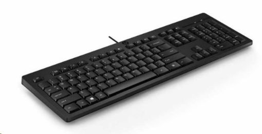 Obrázek HP 125 Wired Keyboard - Česká