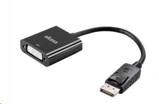 Obrázek AKASA kabel redukce DisplayPort na DVI, 20cm