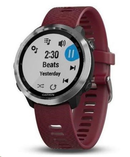 Obrázek Garmin GPS sportovní hodinky Forerunner 645 Optic Music, Red