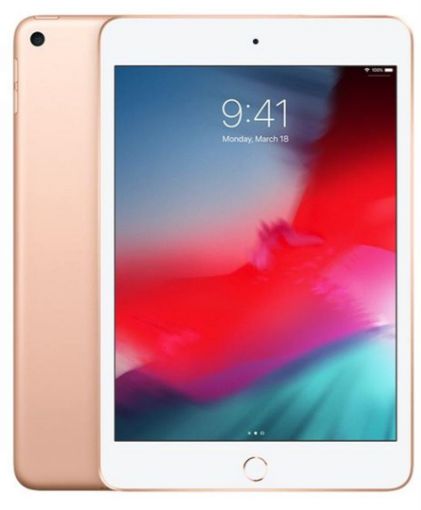 Obrázek iPad mini Wi-Fi 64GB - Gold