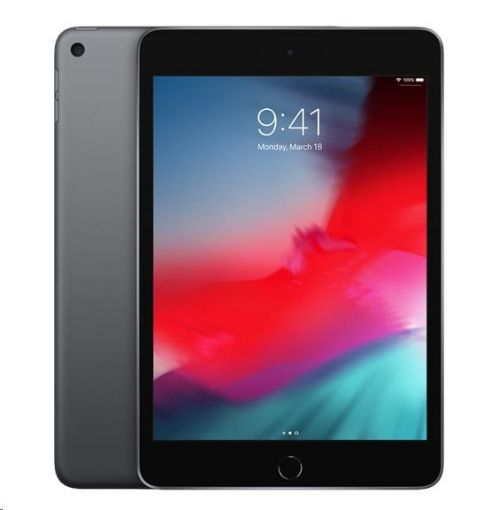 Obrázek APPLE iPad mini Wi-Fi 64GB - Space Grey