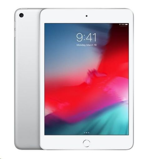 Obrázek APPLE iPad mini Wi-Fi 256GB - Silver