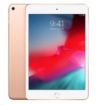 Obrázek APPLE iPad mini Wi-Fi 256GB - Gold