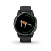 Obrázek Garmin GPS sportovní hodinky Venu Black/Slate Band