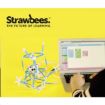 Obrázek Strawbees Coding & Robotics