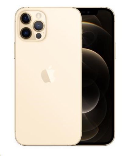 Obrázek APPLE iPhone 12 Pro 256GB Gold