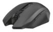 Obrázek TRUST myš GXT 115 Macci Wireless Gaming Mouse