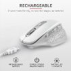 Obrázek TRUST bezdrátová Myš Ozaa Rechargeable Wireless Mouse - white