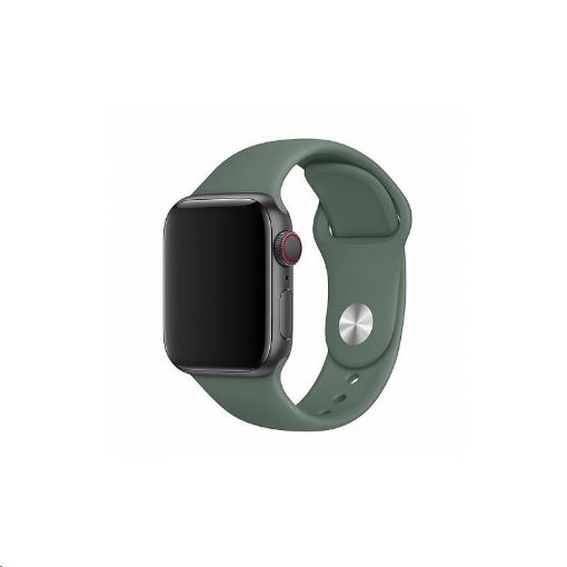 Obrázek COTEetCI silikonový sportovní náramek pro Apple watch 38 / 40 mm jehličnatá zelená