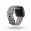 Obrázek Fitbit Versa 2 (NFC) - Stone/Mist Grey