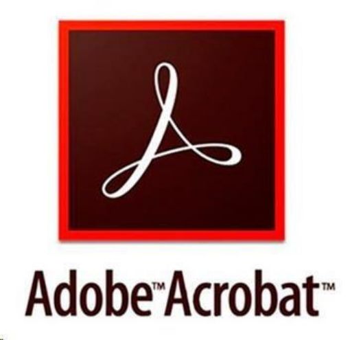 Obrázek Adobe Acrobat Pro DC MP ML (+CZ) COM TEAM RENEWAL L-2 10-49 lic 1Y