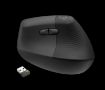 Obrázek Logitech Wireless Mouse Lift for Business, graphite / black