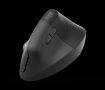 Obrázek Logitech Wireless Mouse Lift for Business, graphite / black