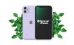 Obrázek Renewd® iPhone 11 Purple 64GB