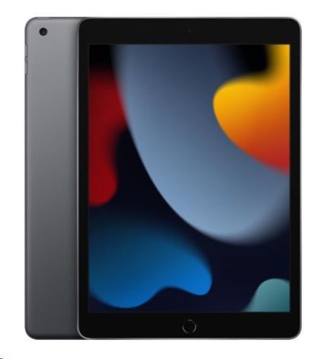 Obrázek APPLE iPad 10.2" (9. gen.) Wi-Fi 256GB - Space Grey