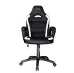 Obrázek TRUST herní křeslo GXT 701W Ryon Chair White, bílá