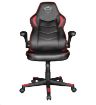 Obrázek TRUST herní křeslo GXT 704 Ravy Gaming Chair