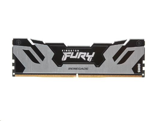 Obrázek DIMM DDR5 16GB 6400MT/s CL32 KINGSTON FURY Renegade Silver